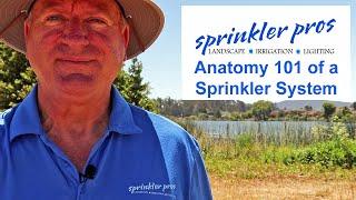 Anatomy 101 of a Sprinkler System series | Learn it from the ground up