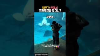 벨루가 앞에서 프러포즈 했더니? #동물 #벨루가