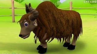 Yak Rhymes | Alphabet Song 3d nursery rhymes for kids | Y for yak songs