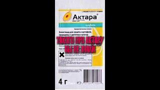 Актара – не просто защита, а мощный стимулятор для растений!