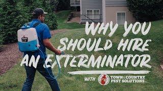 Why You Should Hire an Exterminator