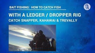 BAIT FISHING: How to catch fish using a ledger / dropper rig, technique basics