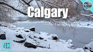 Relaxing Snow Walk In Prince’s Island Park Calgary 