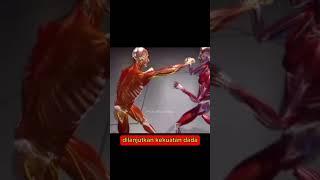 Dari Sini Sumber Pukulan Keras Berasal #shortvideo #shortsfeed #tinju #mma #muaythai