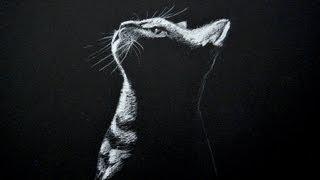 Drawing a Cat - White on Black Paper - Time Lapse