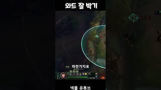 (넥플팁) 와드 잘 박기