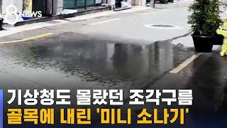 "와! 여기만 딱 내려요" 조각구름이 뿌린 소나기 / SBS