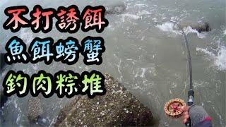 不打誘餌 魚餌螃蟹 釣肉粽堆