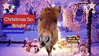 Stunning Christmas Song! Cute Shetland Foal makes Christmas So Bright! 