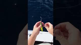 How I rig a jig! #fishing #fish #boat #jigging