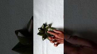 2023 new 2 style 2 minutes leaf decoration ideas