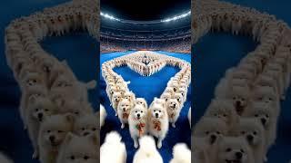 Cool Opening Ceremony Performance #performance   #SportsMeeting #sports