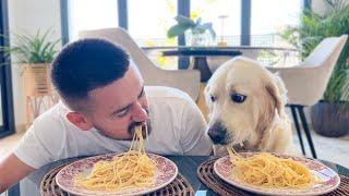 Spaghetti Eating Competition: My Dog vs. Me