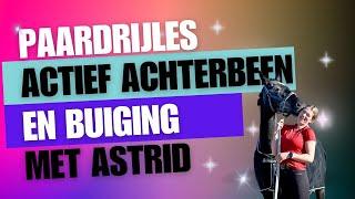 Paardrijles: Actief achterbeen en buiging met Astrid van Horses in Hands