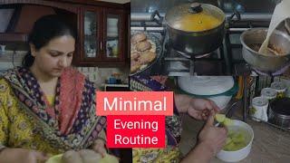 Housewife Evening Routine | Minimalist Routine Slow living Routine |Daily Hindi Vlogs|Lockdown Vlogs