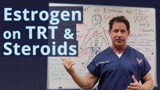 Estrogen on TRT & Steroids