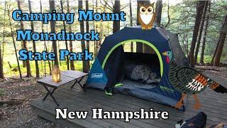 Camping Mount Monadnock State Park, New Hampshire