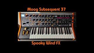 Moog Subsequent 37 Spooky Wind FX Analog Synthesizer Rik Marston