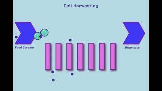 Introduction to Tangential Flow Filtration (TFF)