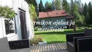 Nurmikon ajelua ja "metsäretki"