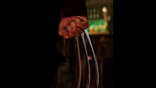 When a WOLVERINE Fights for a BEAR!  The Bar Brawl That Exposed Logan’s Broken Soul |