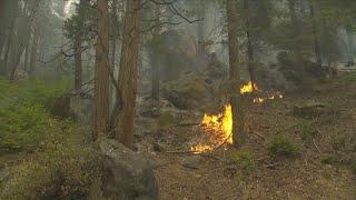 KSEE 24 News Assessing the damage
