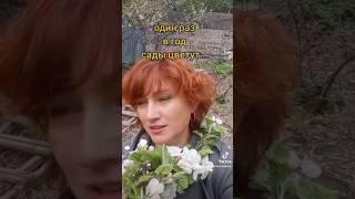 В Любви Признался  ты #любовь#весна #цветы #песнидлядуши  #женщина