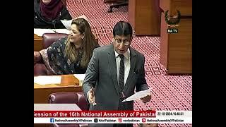 MNA Syed Amin Ul Haque expresses views in National Assembly Session