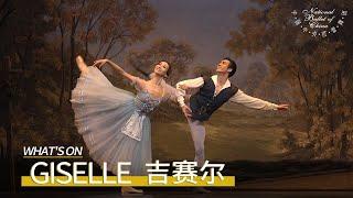 Giselle at the Beijing Tianqiao Theater: "The Show Represents the Epitome of Chinese Ballet!"