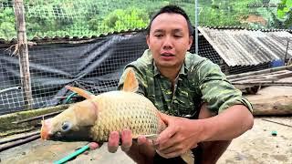 Câu cá chép | Hoa Ban Tây Bắc Farm