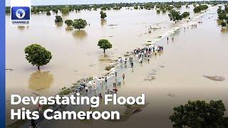 Devastating Floods Hit Cameroon, South Africa Visa Reform + More | Network Africa