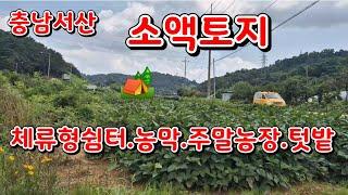 [물건24번]   소액토지   충남 서산토지매매  토지 농막쉼터 주말농장 텃밭등 농막용지 서산 황금알  부동산