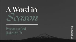 A Word in Season: Precious to God (Luke 12:6–7)