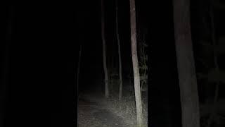 Hiking alone at night in the Appalachian mountains #solohiking #nightwalking