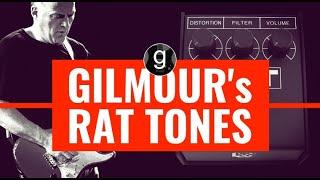 David Gilmour's Rat tones - Overdrive, distortion and fuzz in ONE pedal!