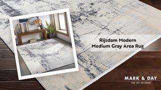 Rijsdam Modern Medium Gray Area Rug
