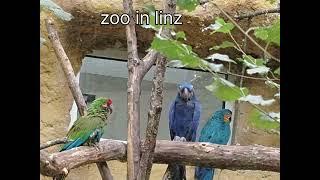 zoo in Linz l Tiergarten in Linz l