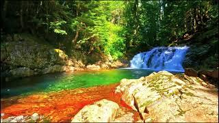 Musique Relaxante en Harmonie d’une Une Cascade en Présence De La Nature Sauvage #youtube