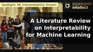 A Literature Review on Interpretability for Machine Learning | AISC