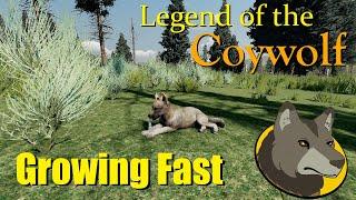 The Legend of the Coywolf S 2 Ep 9 || Catching Calves || Wolfquest