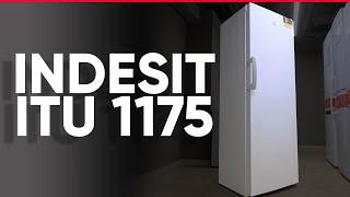 Обзор морозильной камеры INDESIT ITU 1175