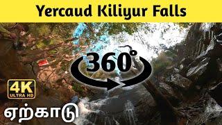 Yercaud Kiliur Falls 360 Degree Video | Anbudan Dina