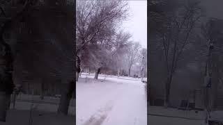 Новочеркасск.Снег,4 февраля.