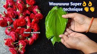 Amazing small red rose flower and betel leaves garland making at home for god/rose flower garland