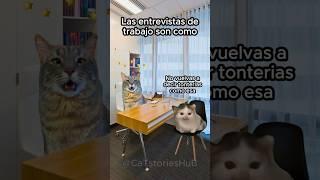 Las entrevistas de trabajo son como #storytime #funnycats #gatitos #shorts #catmemes