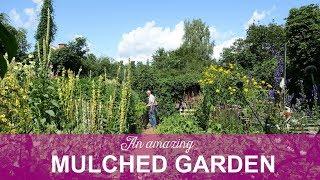 An Amazing Mulched No-Dig Garden in Sweden