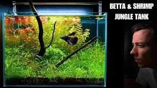 I MADE A MINI JUNGLE AQUASCAPE FOR MY BETTA & SHRIMP!