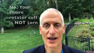 Partial Rotator Cuff Tears: Can They Heal Without Surgery