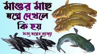 স্বপ্নে মাগুর মাছ দেখলে কি হয় | shopne magur mas dekhle ki hoy | dreams interpretation |