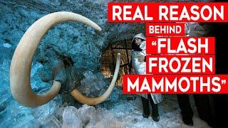 The Real Reason behind “Flash Frozen Mammoths”